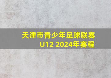 天津市青少年足球联赛U12 2024年赛程